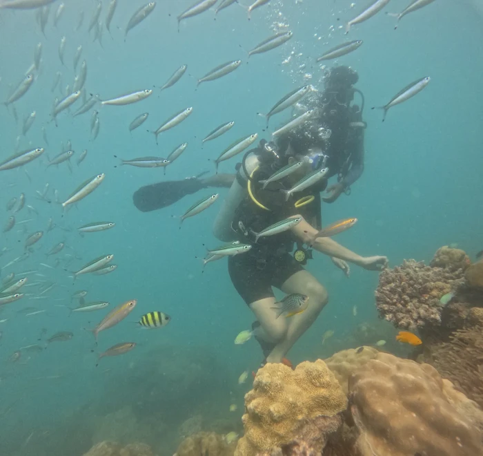 Diver in the middle of a passing school of small fish