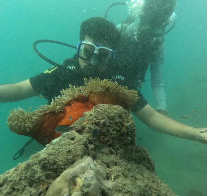 Diver beside an orange sea anemone on a coral boulder