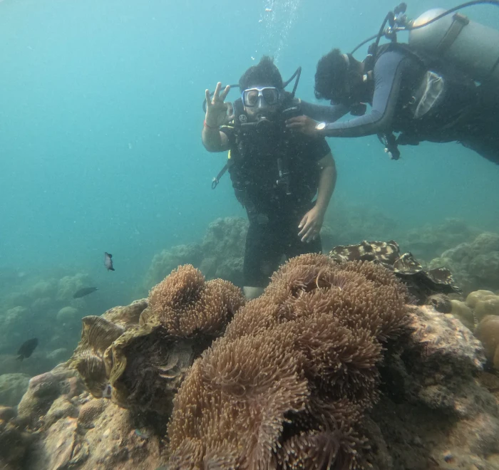 Diver photographing a sea anemone on the reef