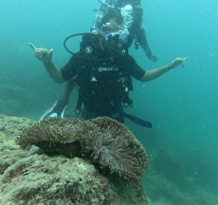 Diver pointing out a sea anemone on the reef