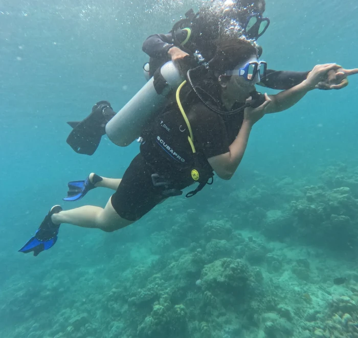 Diver pointing something out while swimming over the reef