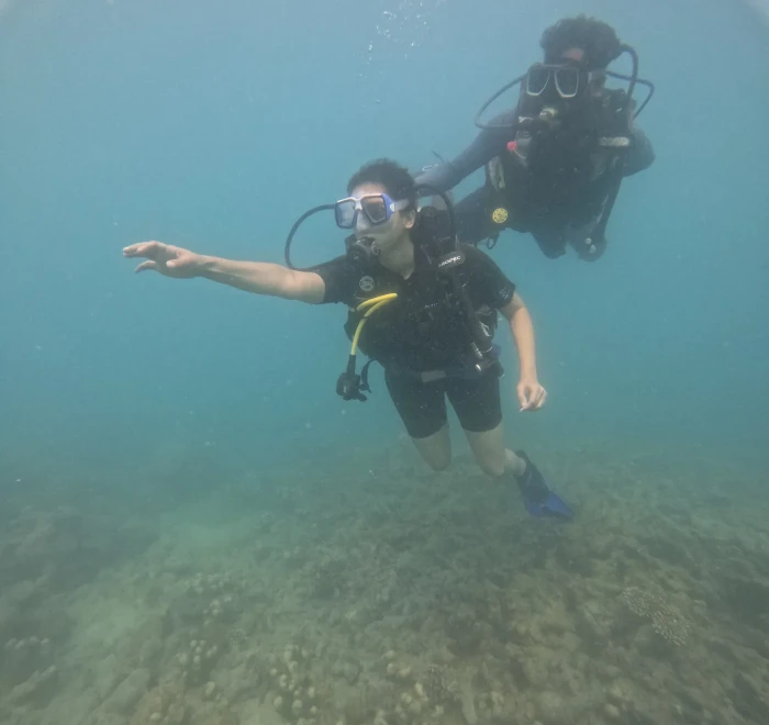 Diver reaching towards the camera underwater