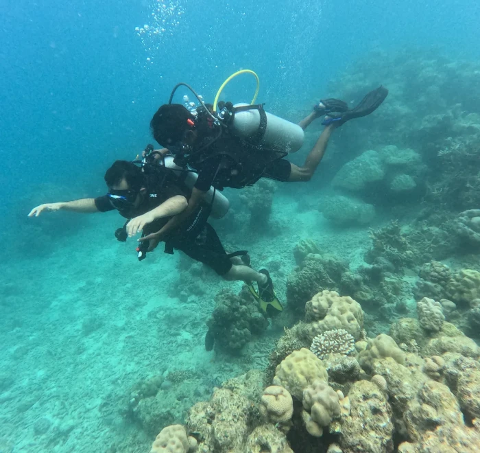 Diver reaching out above the coral heads