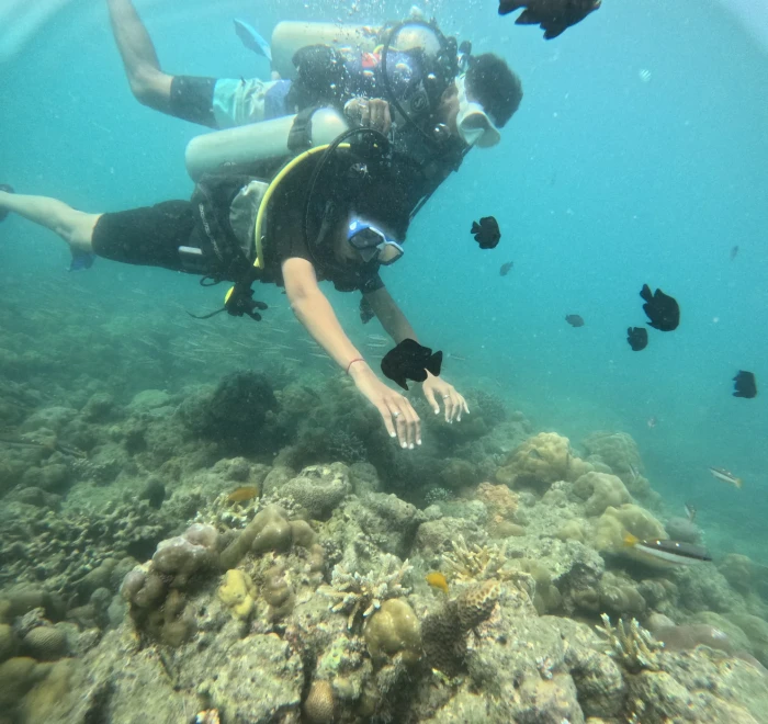 Diver reaching out over the reef with small fish around