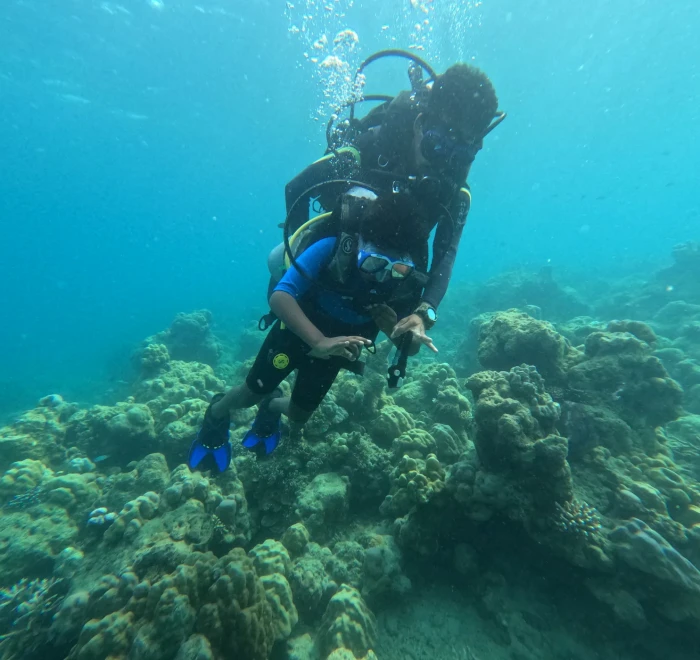 Diver above a reef covered in hard coral in the Andaman Sea