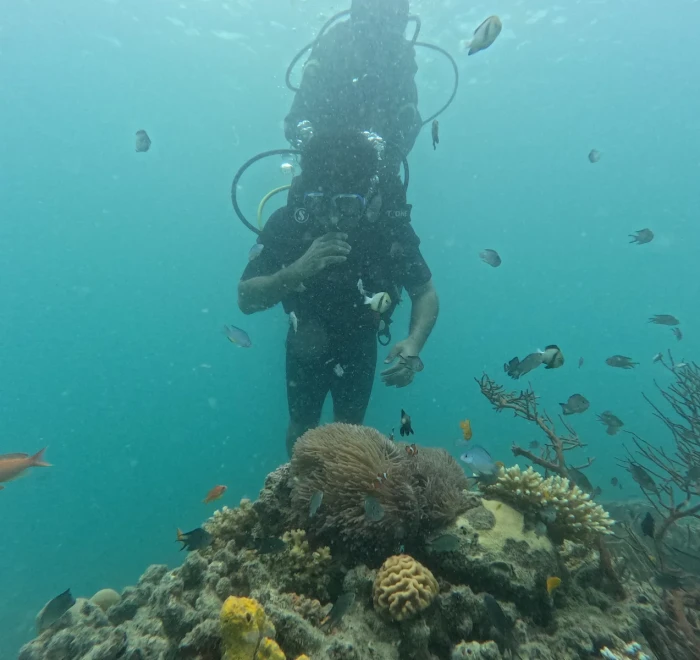 Diver above the reef with fish passing by