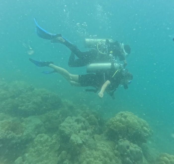 Diver above the reef with a fish passing by