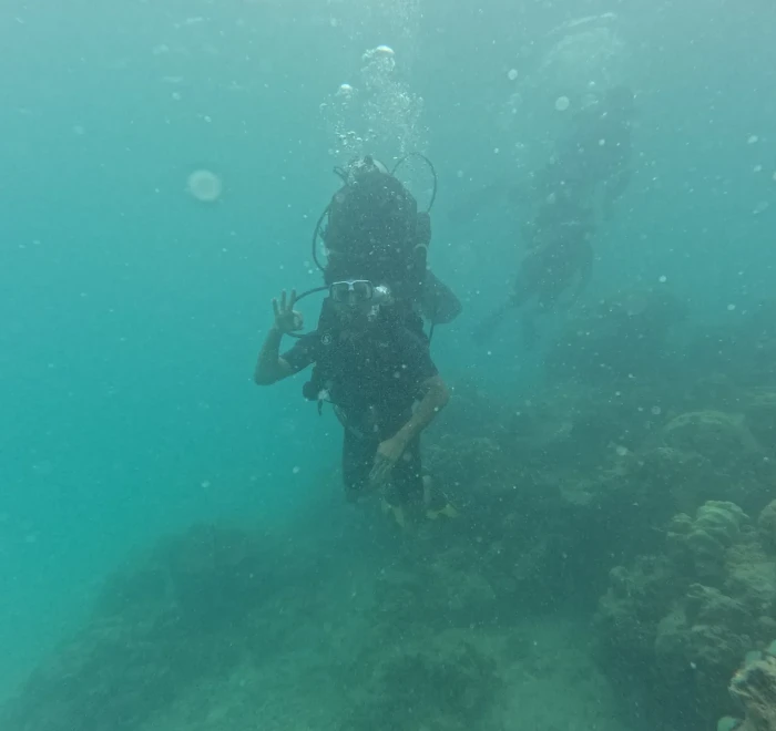 Diver above the reef in green water