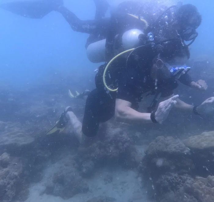Diver above a rocky reef in the Andaman Sea