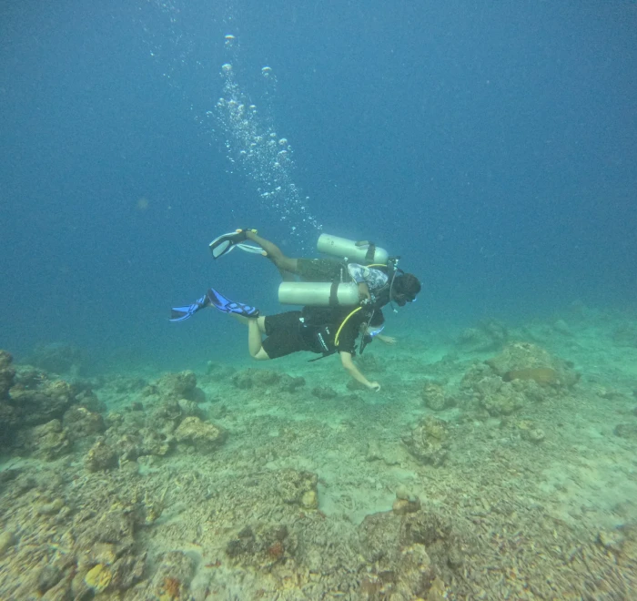 Diver above the sandy bottom on a shallow dive
