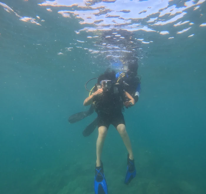 Diver below a school of fish near the surface