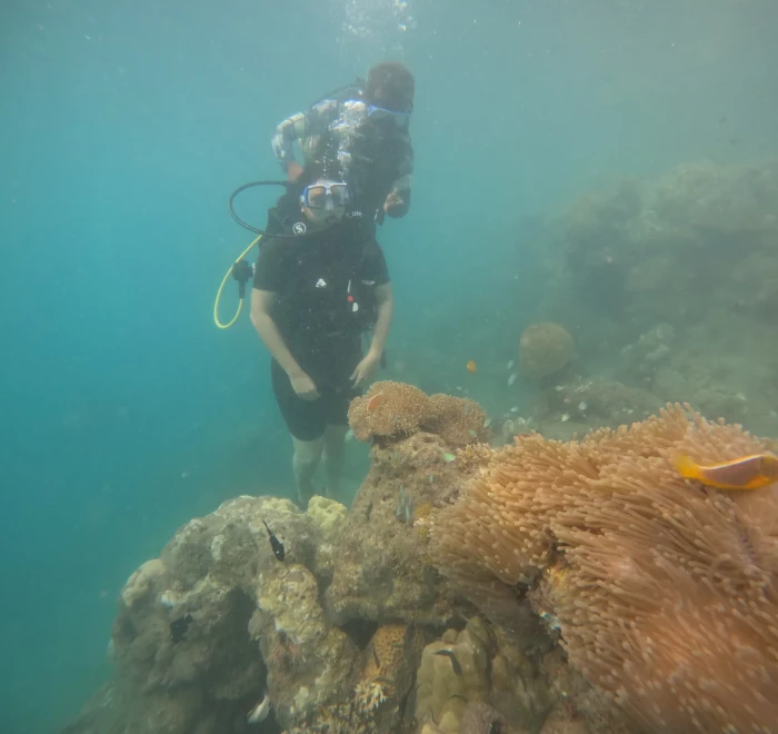 Diver above a sea anemone in green water