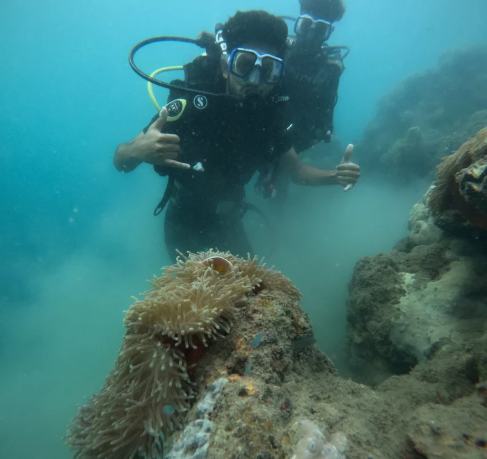 Diver beside a sea anemone on a silty patch of reef