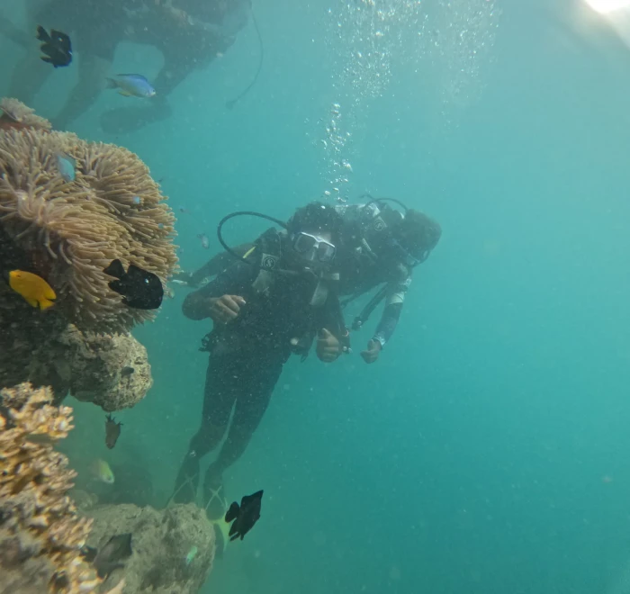 Diver beside a sea anemone with a yellow fish alongside