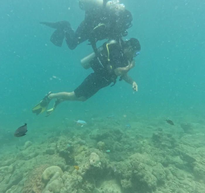 Diver above a shallow reef