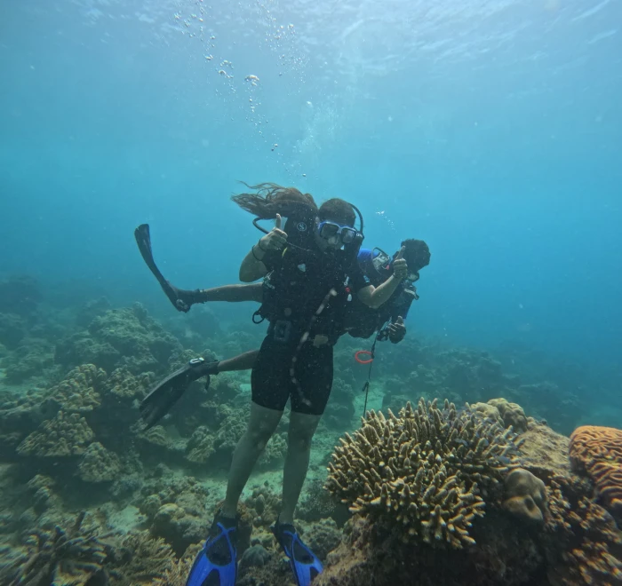 Diver above staghorn coral on the reef