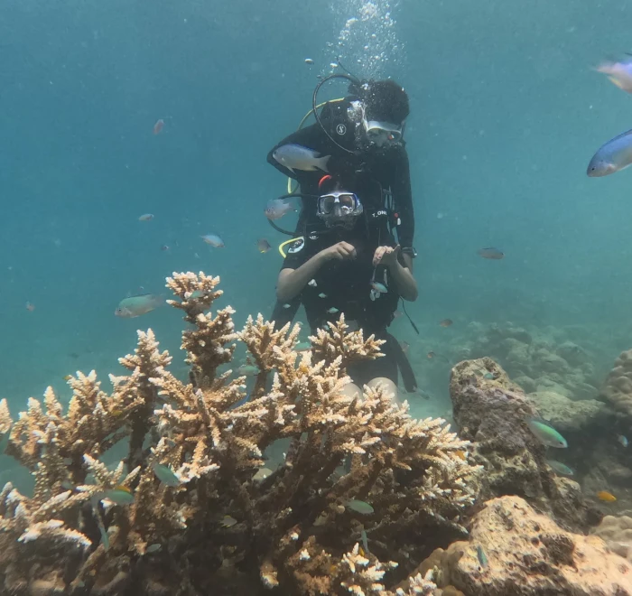 Diver above staghorn coral with reef fish around