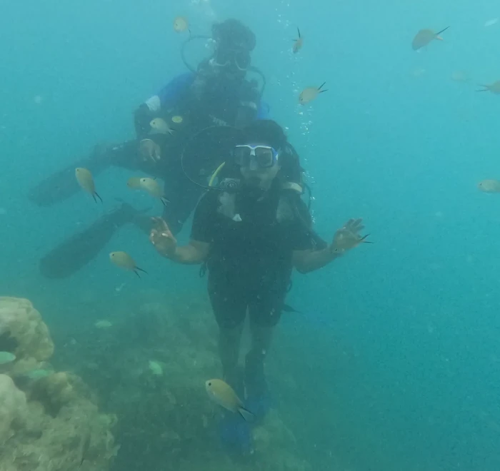 Diver surrounded by small reef fish in open water