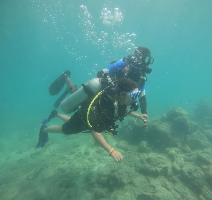 Diver swimming low over the coral reef
