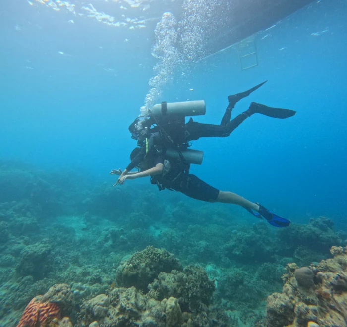 Diver swimming over the reef close to the surface in clear water
