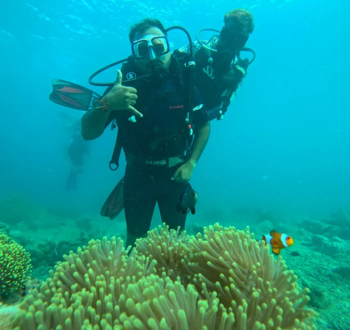 Diver above a yellow anemone with a clownfish sheltering inside