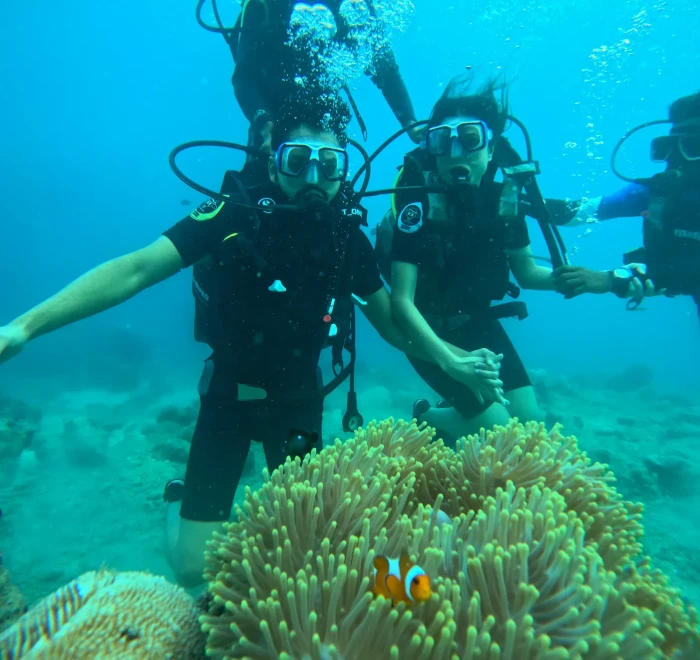 Divers beside a clownfish anemone on the reef