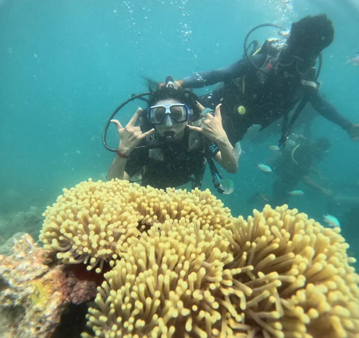 Divers hovering above a wide bed of sea anemones while scuba diving in Havelock