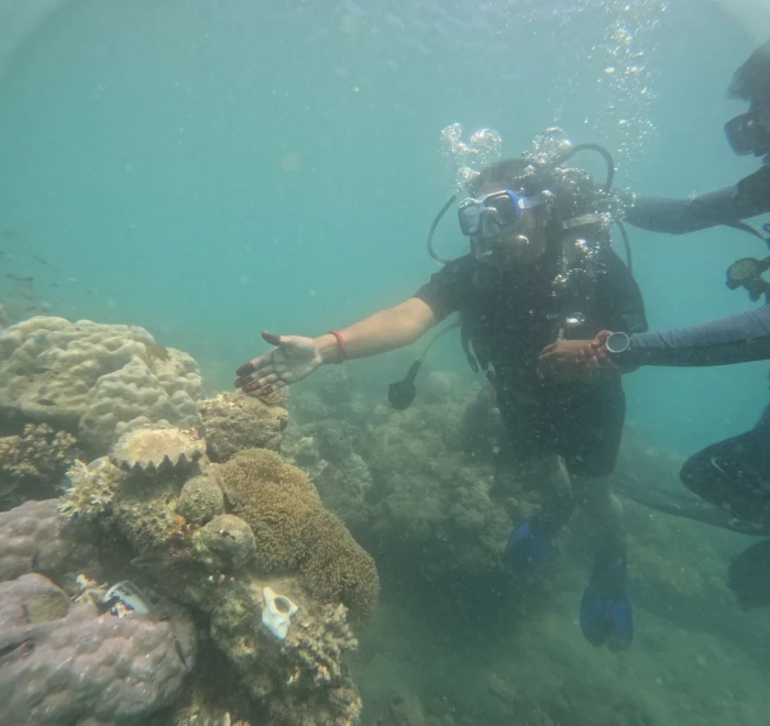 Divers moving along the reef in shallow water
