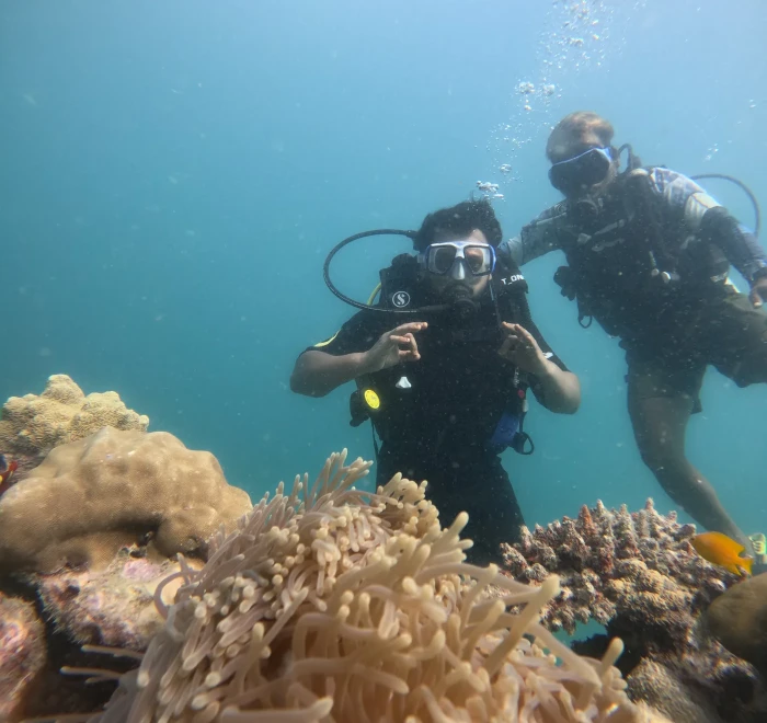 Divers photographing a sea anemone on the reef