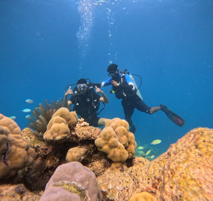 Divers and an underwater photographer beside boulder coral on a Havelock Island reef