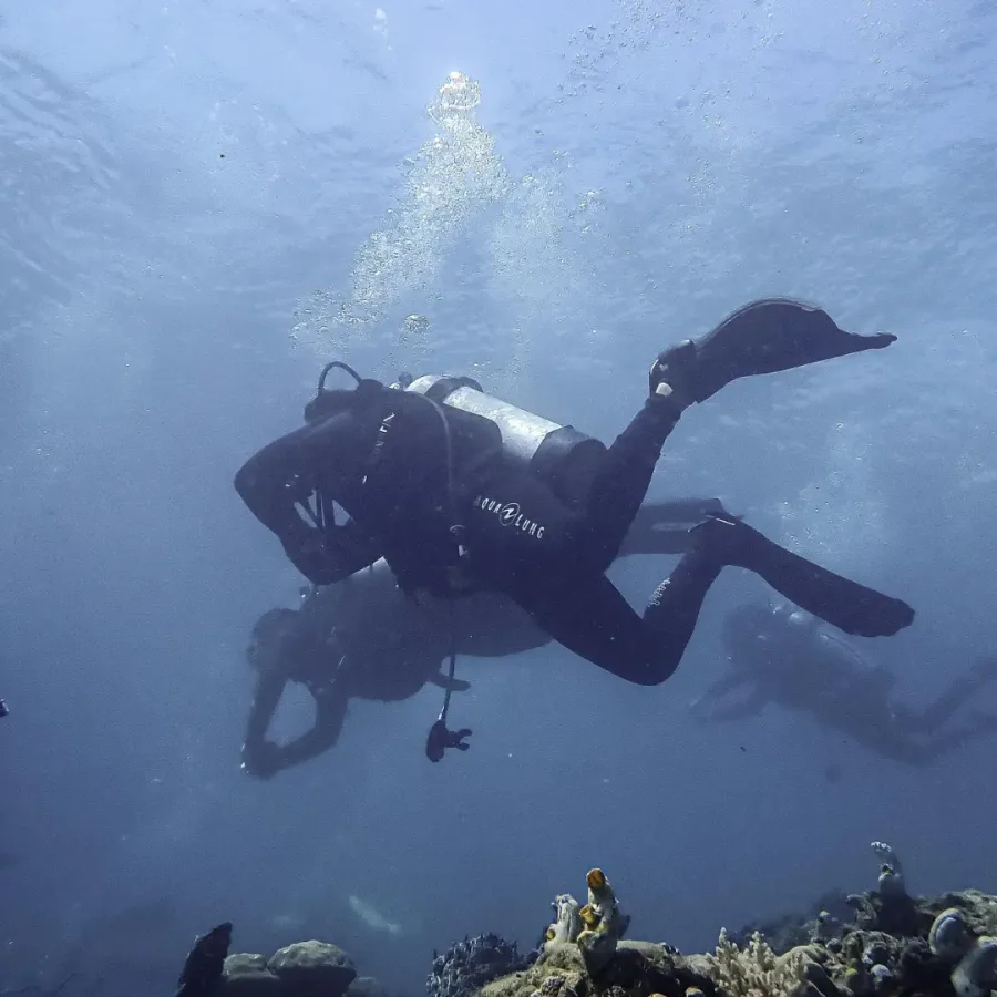 Premium Fun Dive — Frogman Adventures, Havelock Island