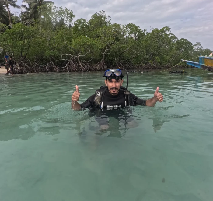 Guest in the shallows with the mangroves behind