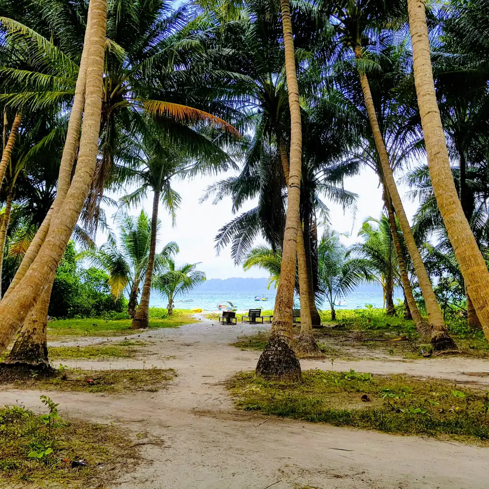 Intertidal Walk — Frogman Adventures, Havelock Island