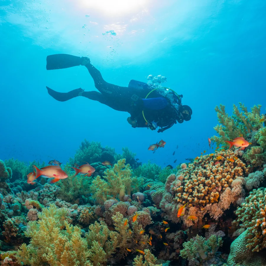 Lighthouse — Frogman Adventures, Havelock Island