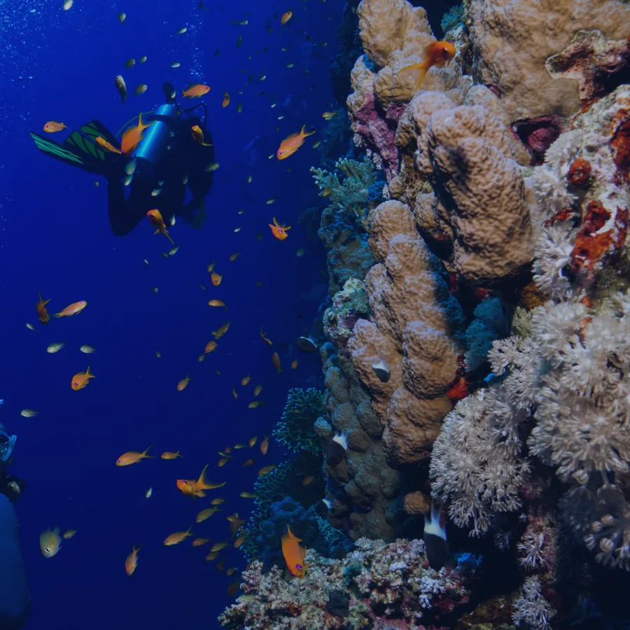 Red Pillar — Frogman Adventures, Havelock Island
