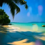 Guided walk to Secret Beach through coastal forest on Havelock Island with Frogman Adventures