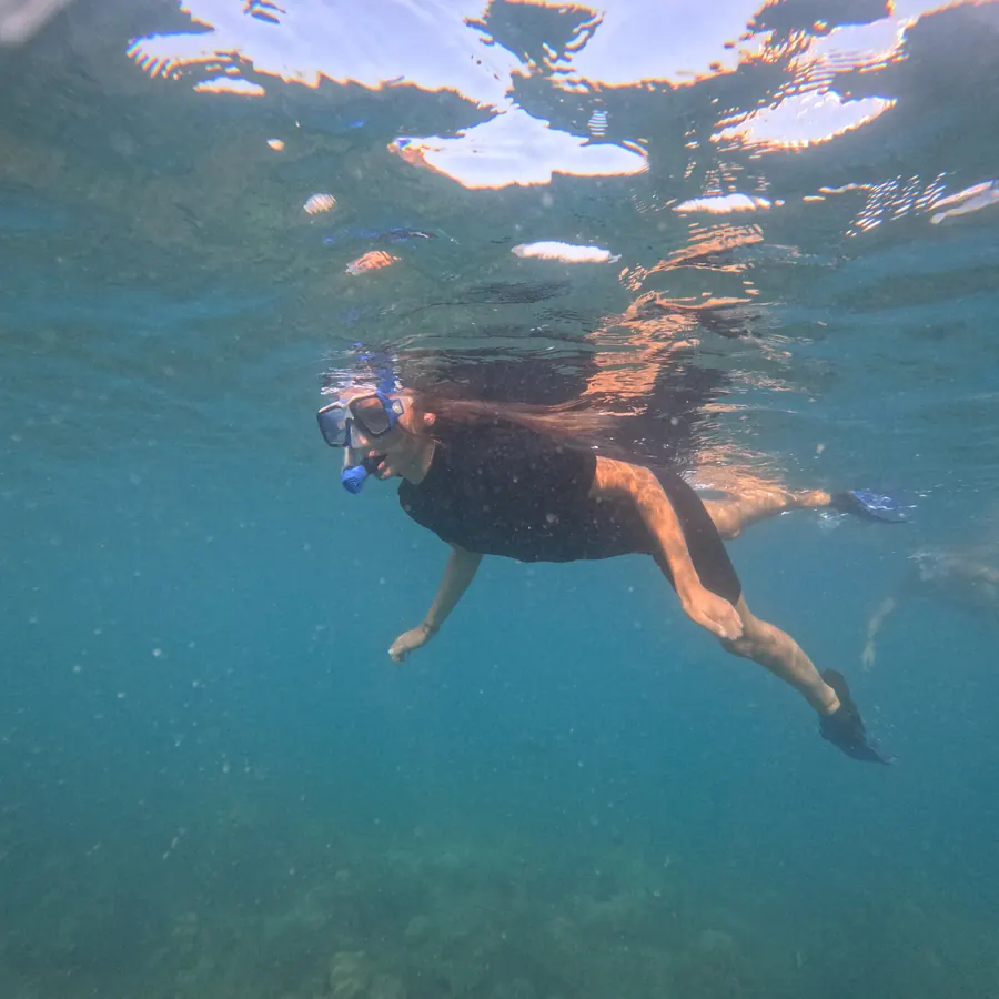 Juvi's Snorkelling — Frogman Adventures, Havelock Island