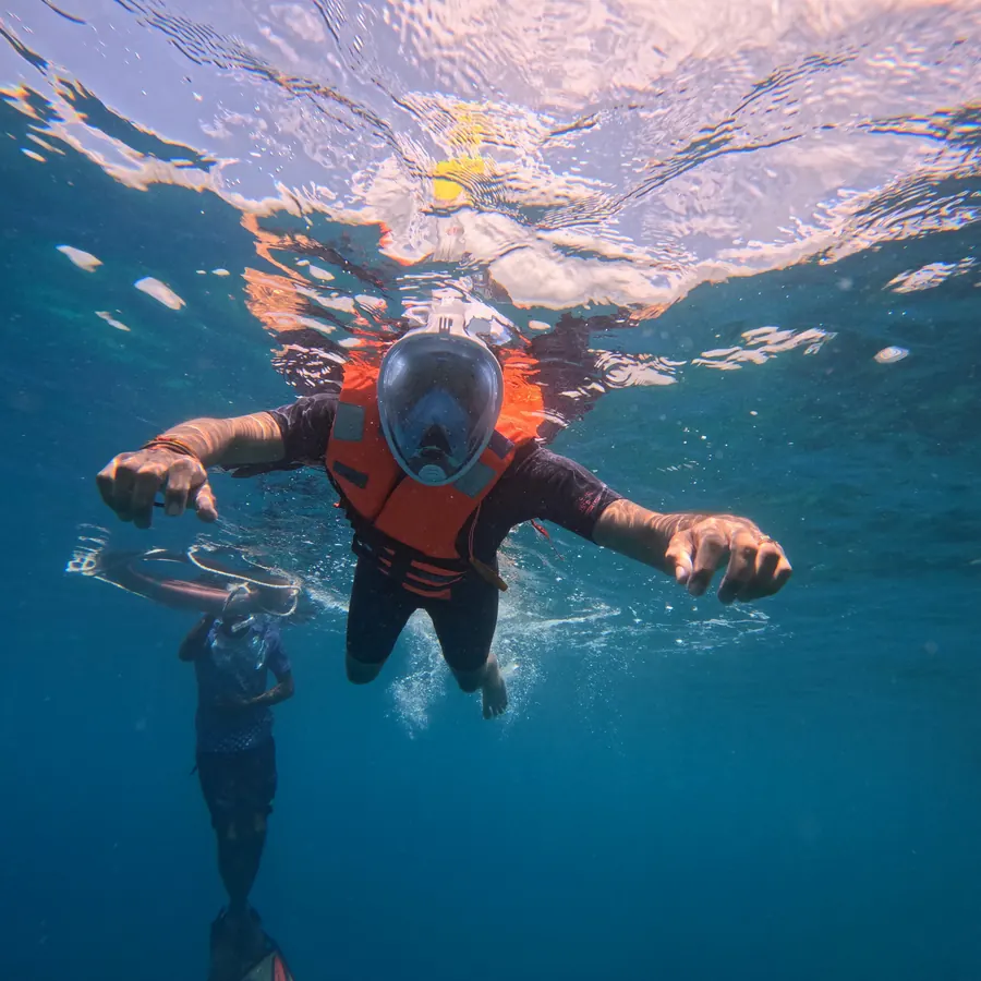 Nemo Reef Snorkelling — Frogman Adventures, Havelock Island