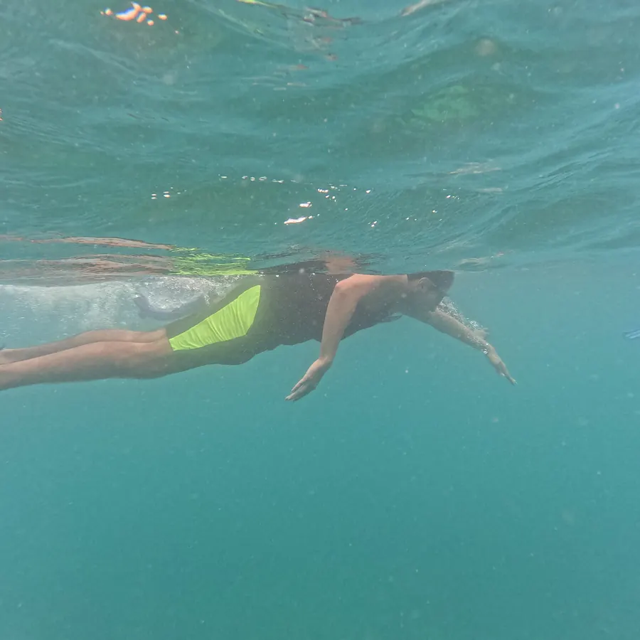 Red Pillar Snorkelling — Frogman Adventures, Havelock Island