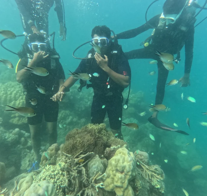 Three divers among a school of reef fish