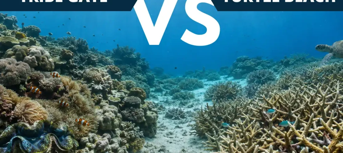 Tribe Gate versus Turtle Beach dive sites in Havelock Island, Andaman