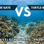 Tribe Gate versus Turtle Beach dive sites in Havelock Island, Andaman