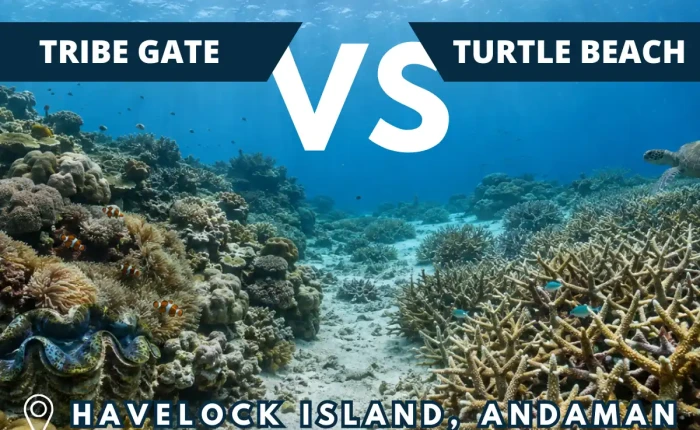 Tribe Gate versus Turtle Beach dive sites in Havelock Island, Andaman