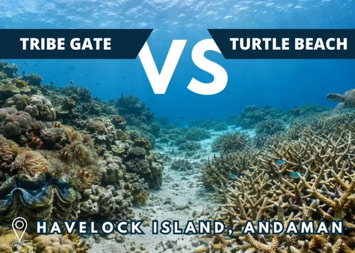 Tribe Gate versus Turtle Beach dive sites in Havelock Island, Andaman Tribe Gate versus Turtle Beach dive sites in Havelock Island, Andaman