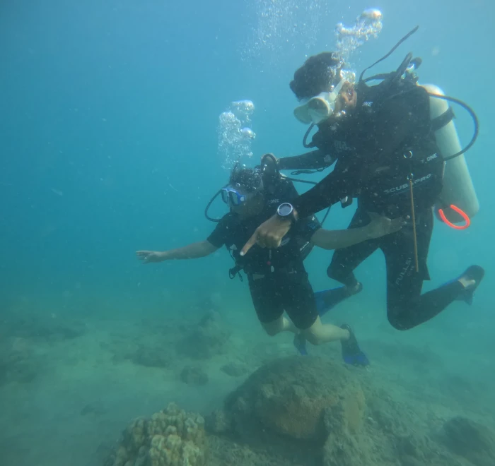 Two divers with arms out above the reef
