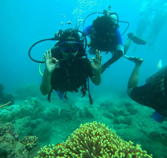 Two divers above a bed of sea anemones