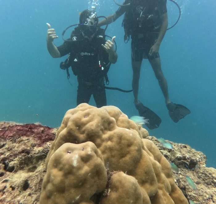 Two divers above a boulder coral head