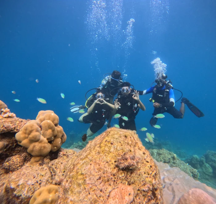 Two divers above boulder coral with reef fish around