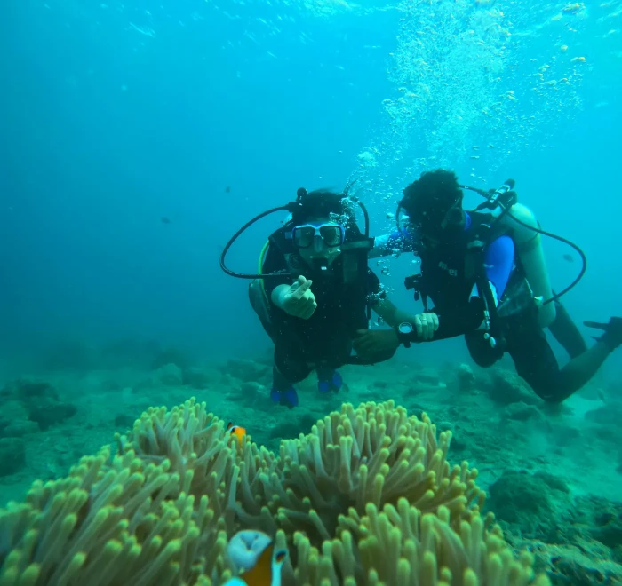 Two divers above a clownfish anemone on the reef