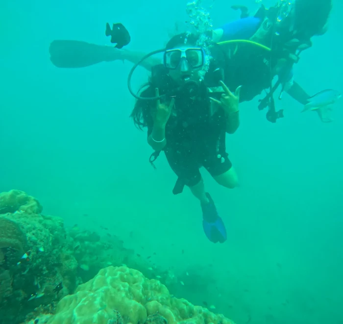 Two divers above a coral head in green water